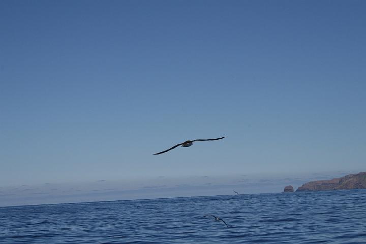 Azul 150.jpg